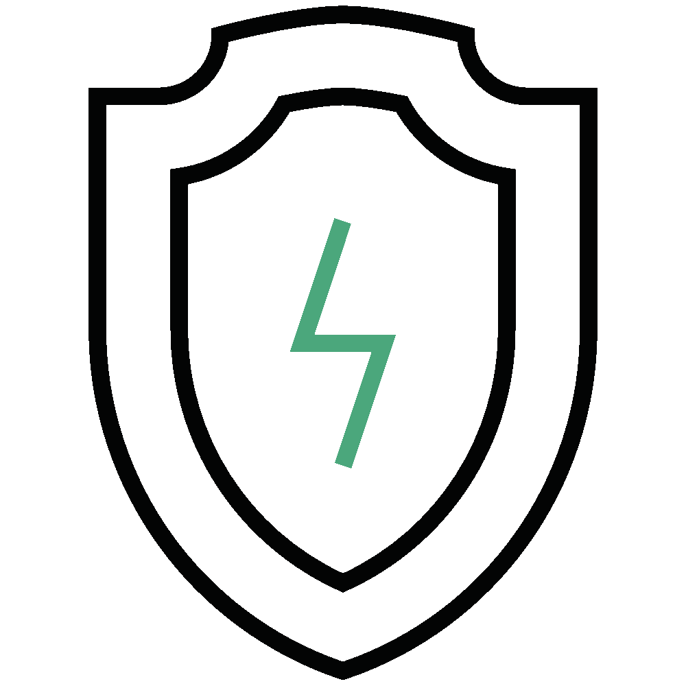 A black shield outline with a green lightning bolt symbol in the center, on a white background.